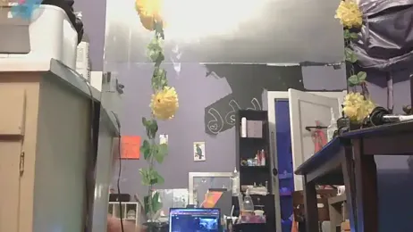 watermellonpussy webcam model stream image