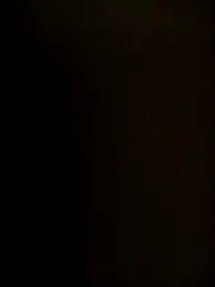 TheTwist webcam model stream image