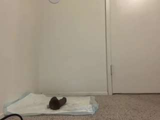 queenlolaxxx webcam model stream image