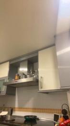 Tulipan79 webcam model stream image