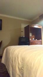 bizzyhard4u webcam cam4 model stream image