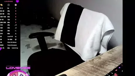 0066top webcam model stream image