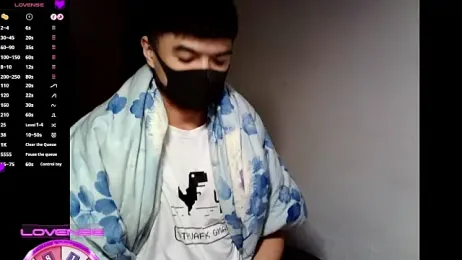 0066top webcam model stream image