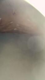 Saias30 webcam cam4 model stream image