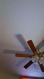 veronicasteel73 webcam model stream image
