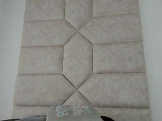 vaiolett-smith webcam model stream image