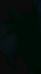 Spanit webcam model stream image