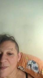 ElliPark webcam model stream image