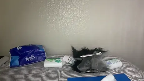 iambennet webcam model stream image