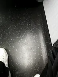 ARTANIS20 webcam model stream image