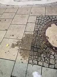 ARTANIS20 webcam model stream image