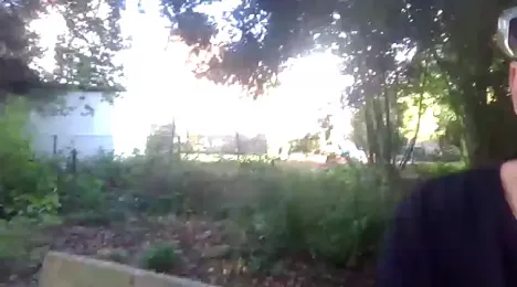 ARTANIS20 webcam model stream image