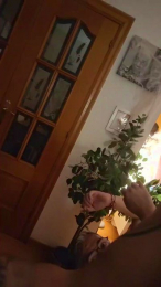 couplegaysexy webcam model stream image