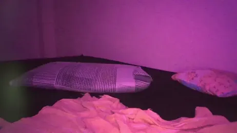 gatitargentina2025 webcam model stream image