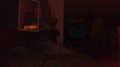 TLT83 webcam model stream image
