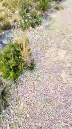 ichbinsheute webcam model stream image