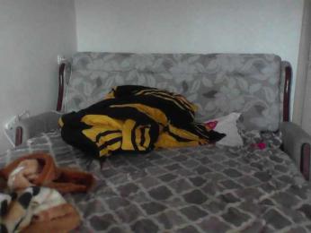 alnhpas webcam model stream image