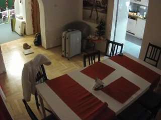 voyeurcam-julmodels-dining webcam model stream image