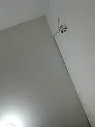 ArturrAlvs webcam model stream image