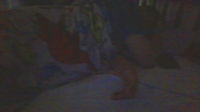 ariscomexican webcam model stream image