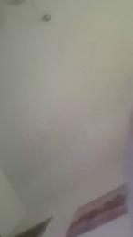 Vortex1n webcam model stream image