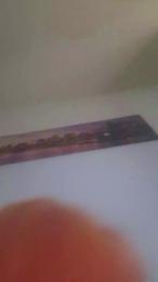 Vortex1n webcam model stream image