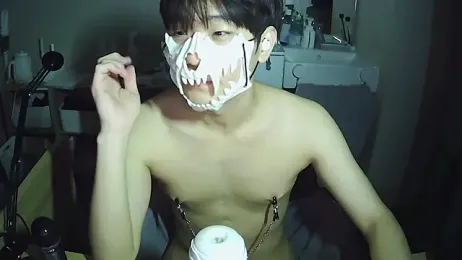 sdamvo2 webcam model stream image