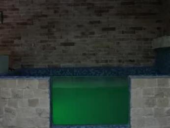 gagngush webcam model stream image