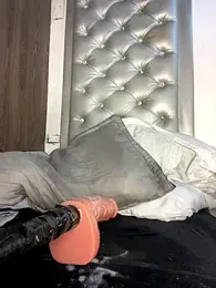 tokio_and_rio webcam model stream image