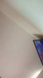 Hainicam webcam model stream image