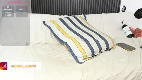 Little_Bear00 webcam model stream image