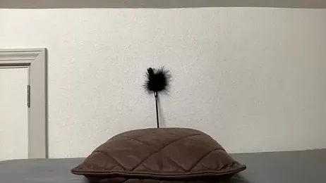 kei0000kei webcam model stream image