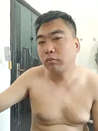 wz9500 webcam model stream image