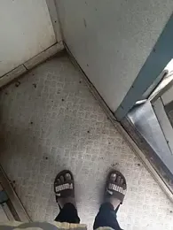 1010SumiT webcam model stream image