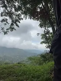 sky-wolves webcam model stream image