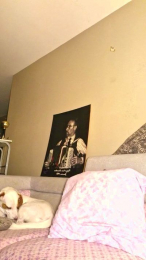 Dollysex6 webcam model stream image