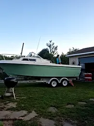 thickdaddy2982 stripchat stream image