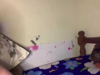 Meliy bongacams stream image