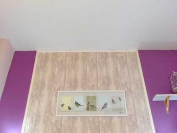 XKimoraX bongacams stream image