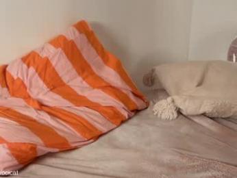 ocicat chaturbate stream image