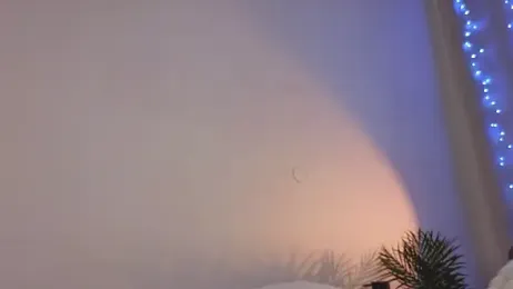 hol1y stripchat stream image