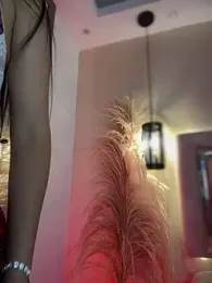 Sofia_Collins- stripchat stream image