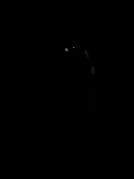 DADDY_KANE8--- stripchat stream image