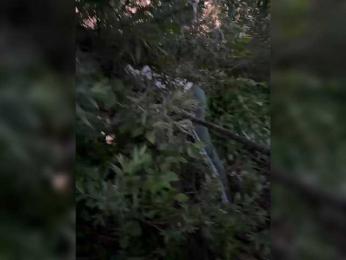 LuckyStar bongacams stream image