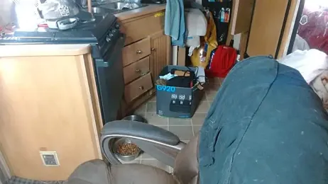 DADDY_KANE8--- stripchat stream image