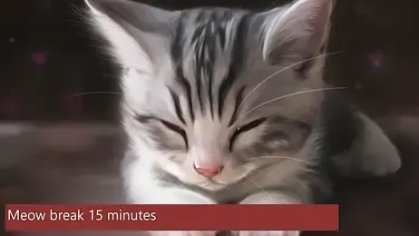 John_Mellow stripchat stream image