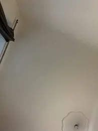 Musae stripchat stream image