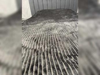 AlinaRay bongacams stream image