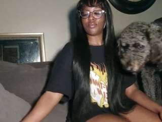 itstaylorofficial camsoda stream image