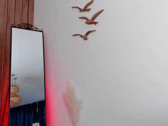 LeylaRoss bongacams stream image